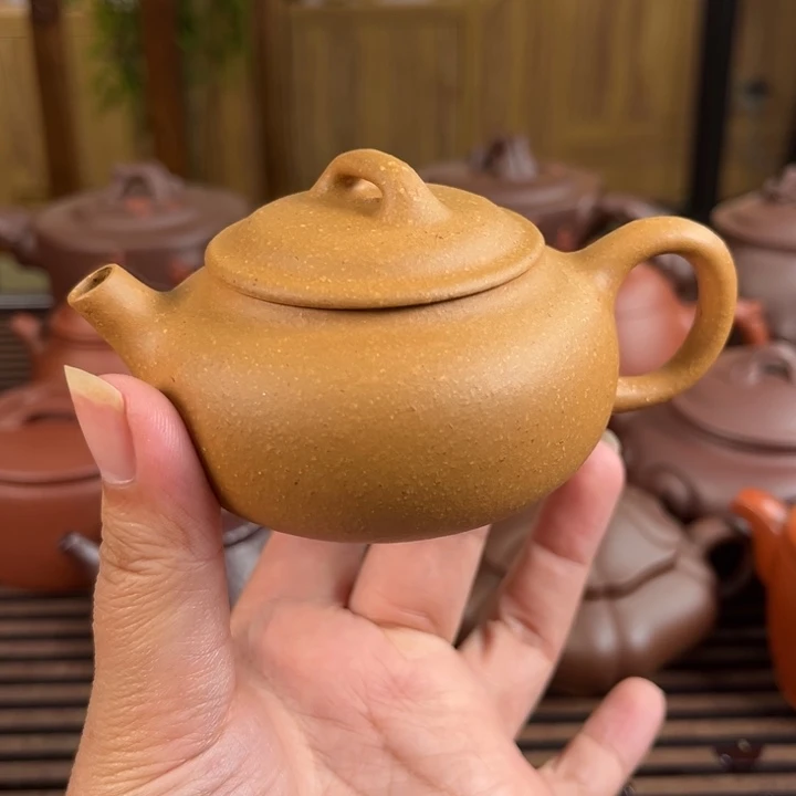 茶壶紫砂紫砂…………………………