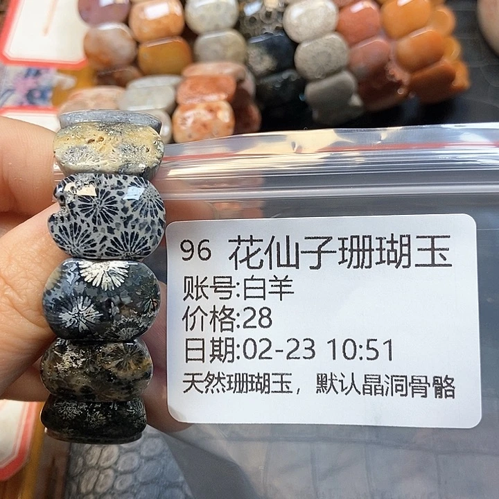硅化珊瑚（珊瑚玉）手镯未镶嵌白*96