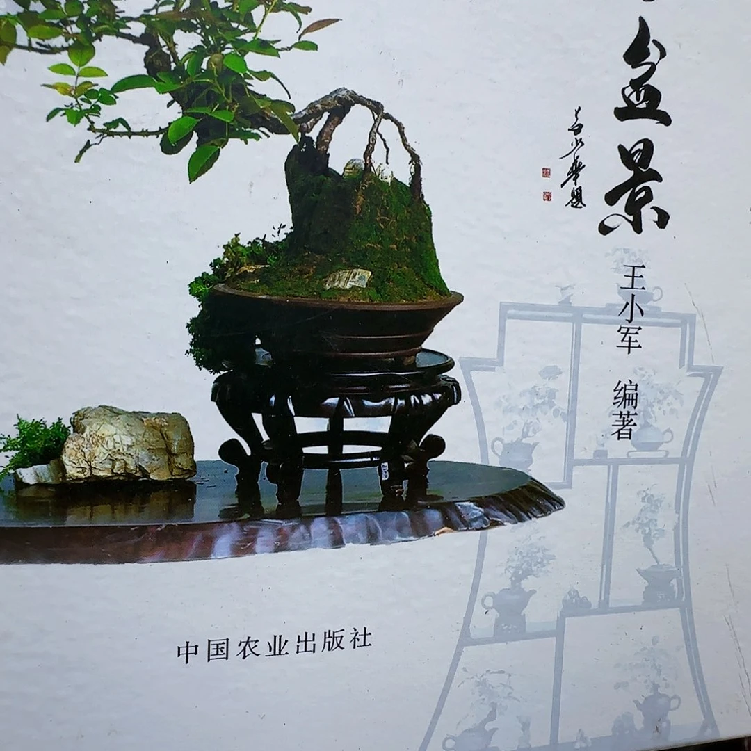 清***杯无花朵三春柳柽柳发干活季军季军