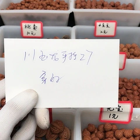 桃核吊坠用****9龙纹桃核的搭配