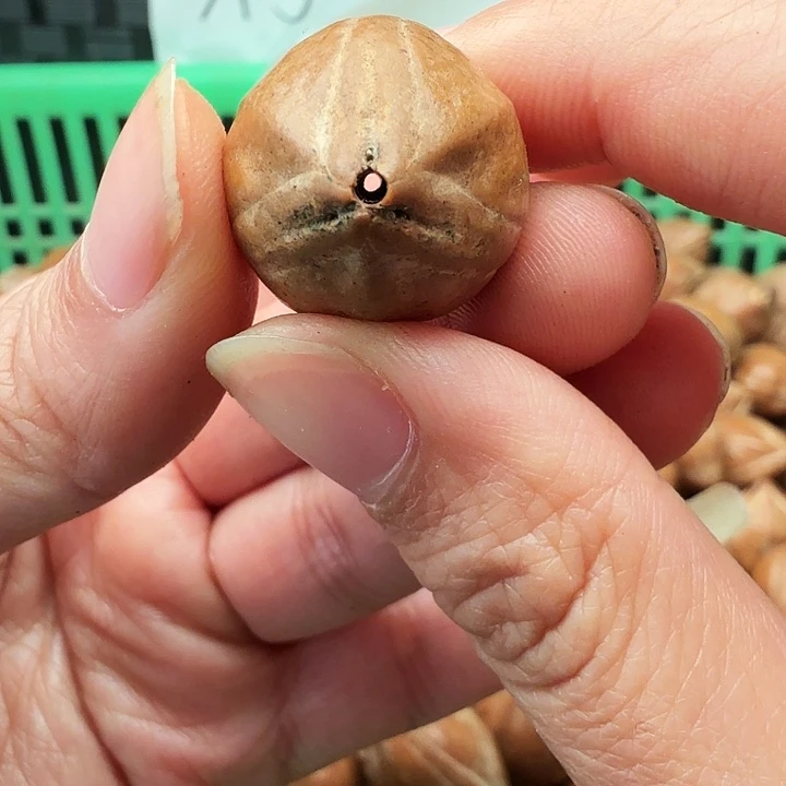 手串/手链橄榄核橄榄