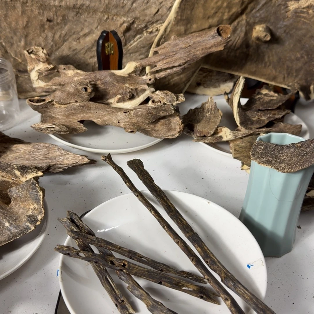 三***升沉香沉香碎屑张勺子44克母树第一代香