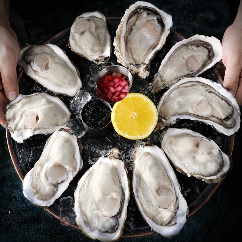 【到手10斤正宗精品乳山生蚝】黄金4-6两 买5斤送5斤共10斤鲜活海鲜
