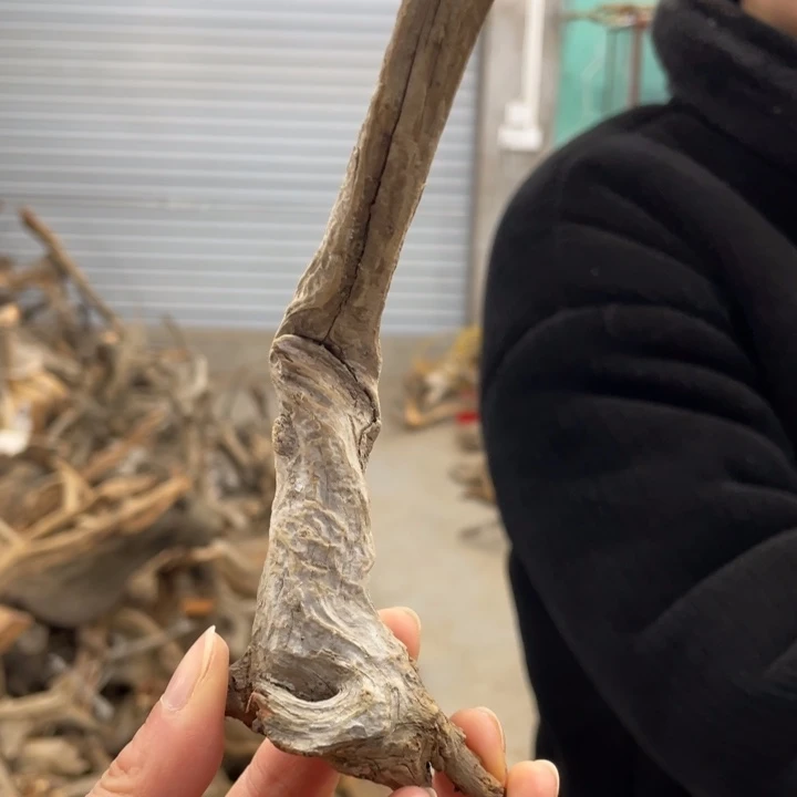 用****6我们都是好孩子呀