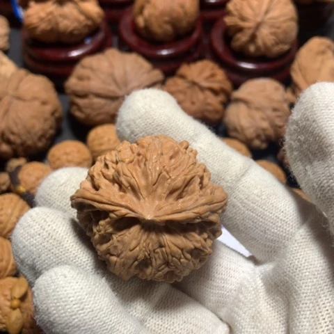 核桃y****y蛇头单只一个