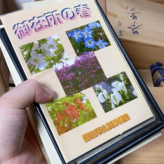 紫砂哈哈哈哈哈哈哈哈哈