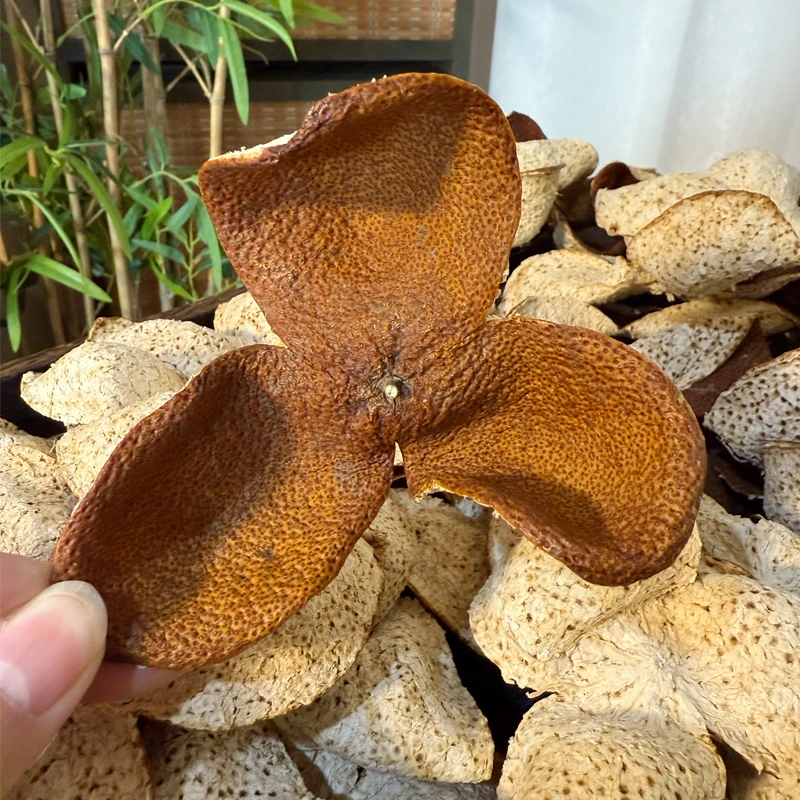 陈年时光2024年新会陈皮冬后皮