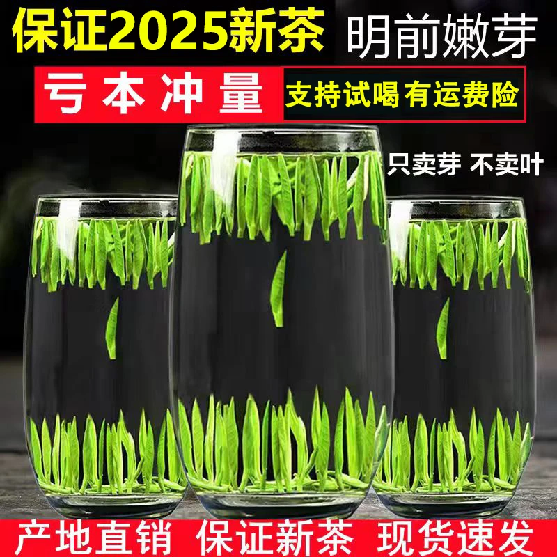 2025新茶湄潭雀舌绿茶茶叶春茶明前毛尖芽茶雀舌茶叶礼盒装A01