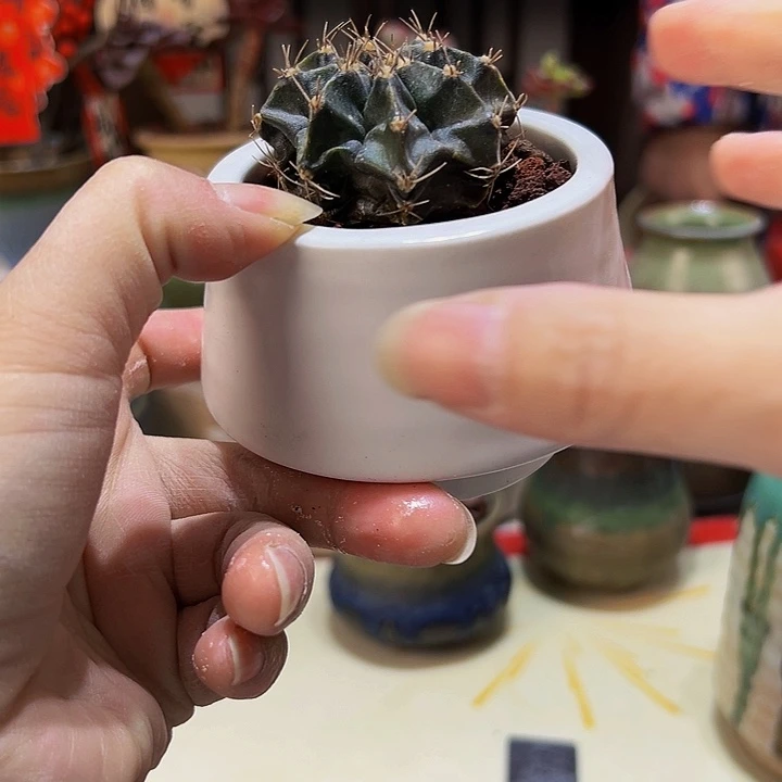 景德镇陶瓷艺术研究院