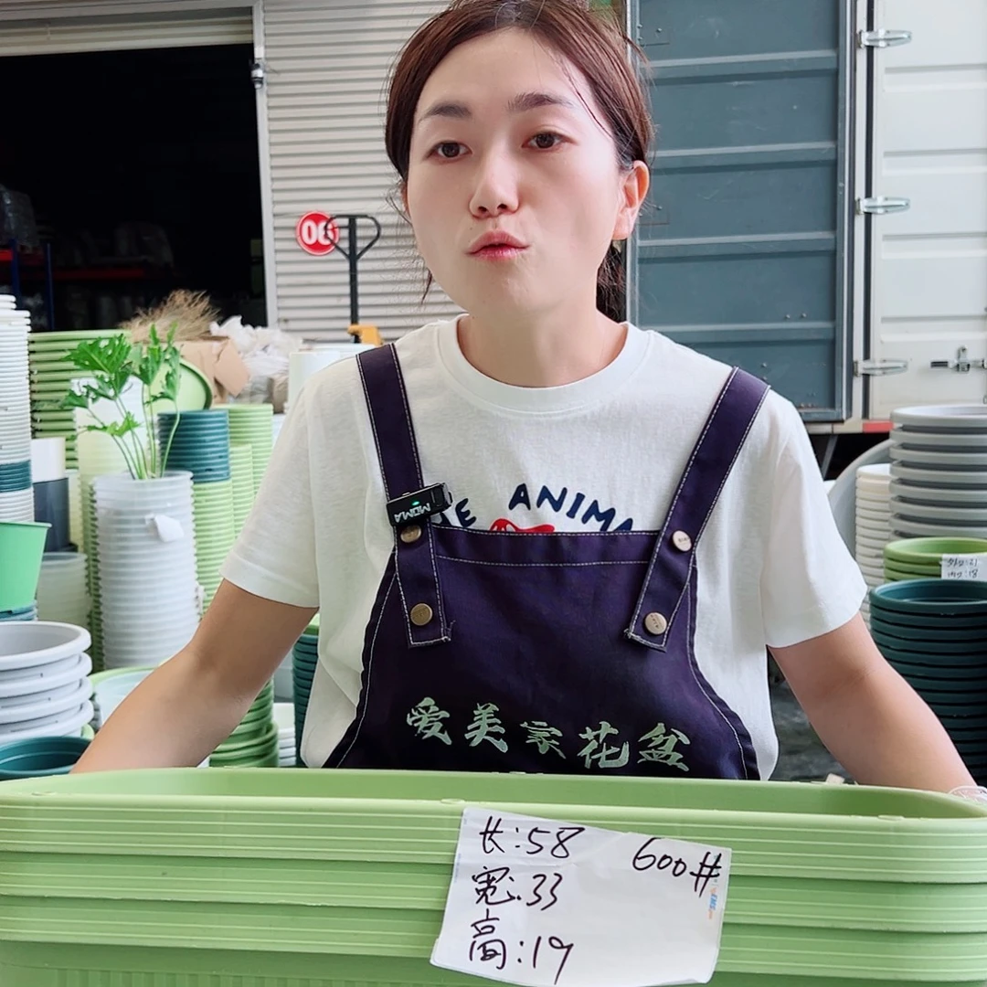 菜盆600#果绿3个无托