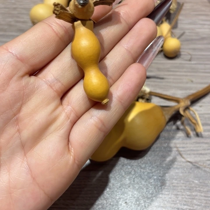 H***王葫芦葫芦葫芦葫芦