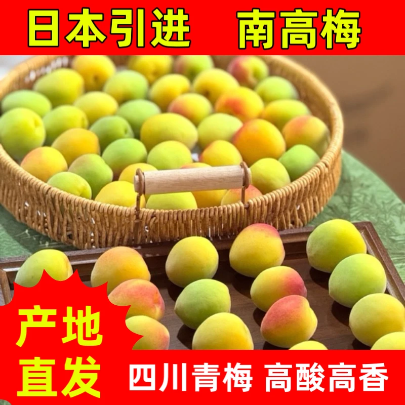 【京东空运】四川南高梅大邑产区高海拔精品高香高酸泡酒酵素青梅露