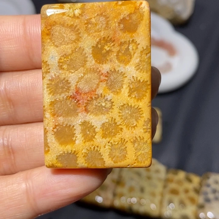 【闪购商品】未镶嵌珊瑚玉硅化玉