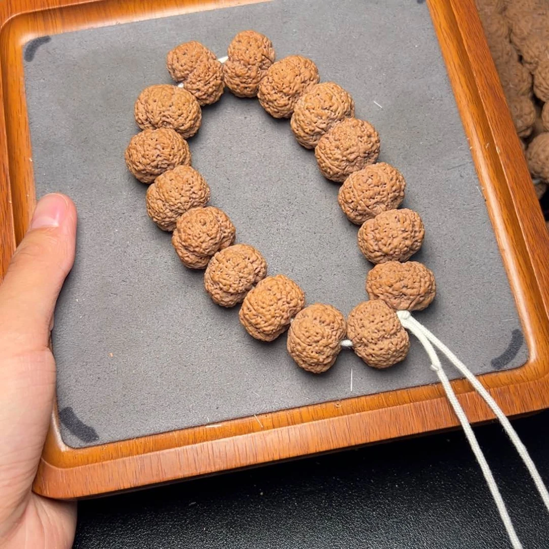 菩提11号尼泊尔大金刚23五星夹板菠萝蜜
