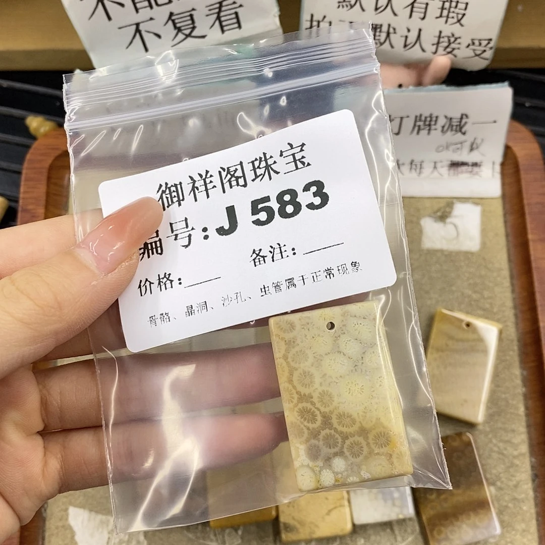 硅化珊瑚（珊瑚玉）未镶嵌颈饰永****绘
