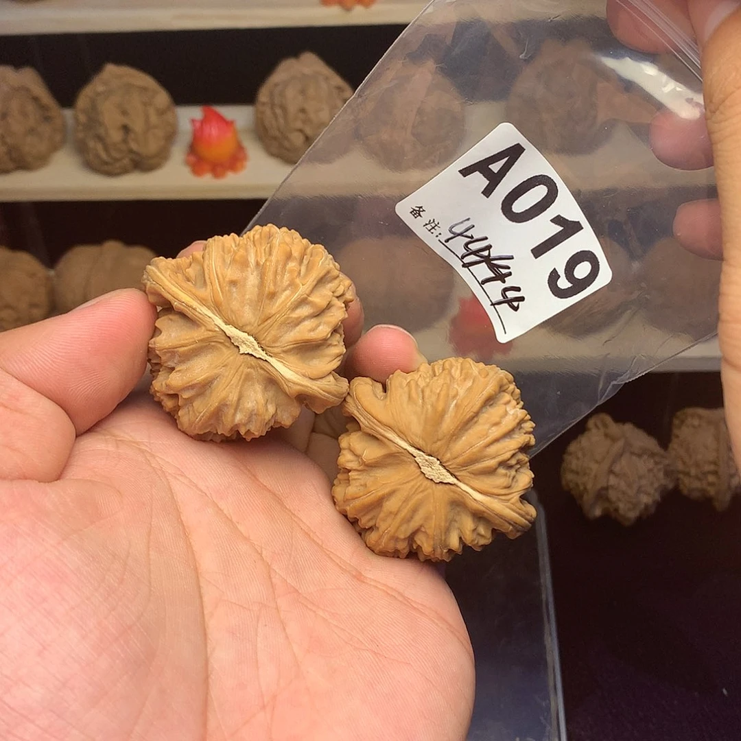 手串/手链核桃A19白