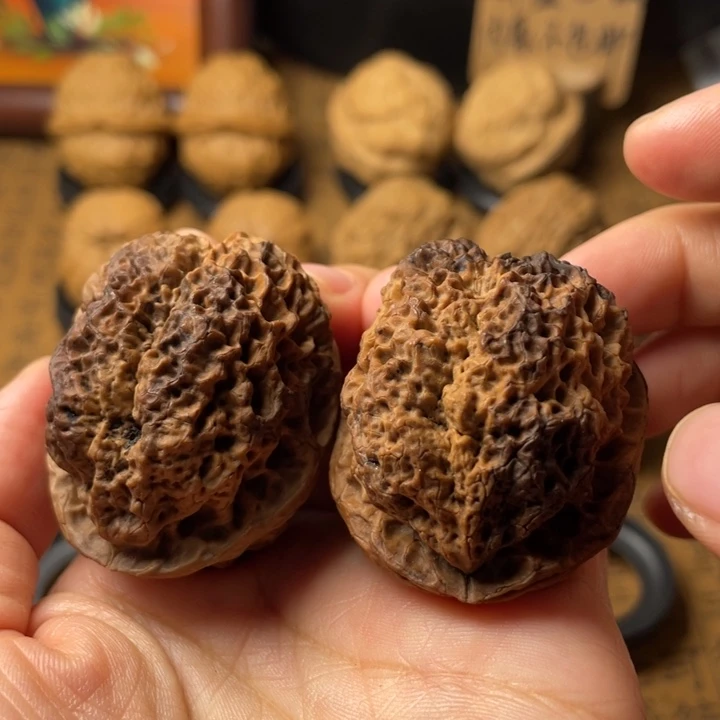 云南野生铁核桃编号38