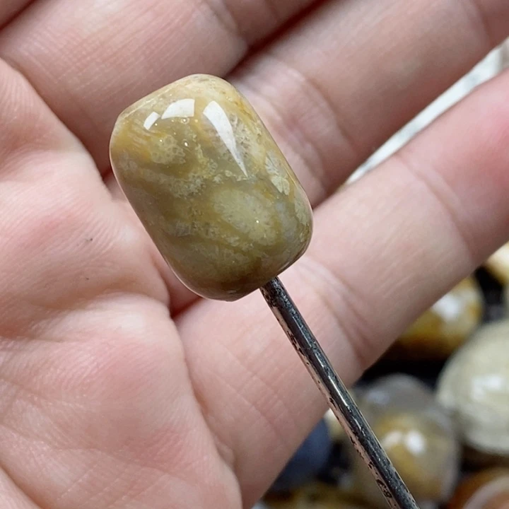 颈饰未镶嵌硅化珊瑚（珊瑚玉）玉*