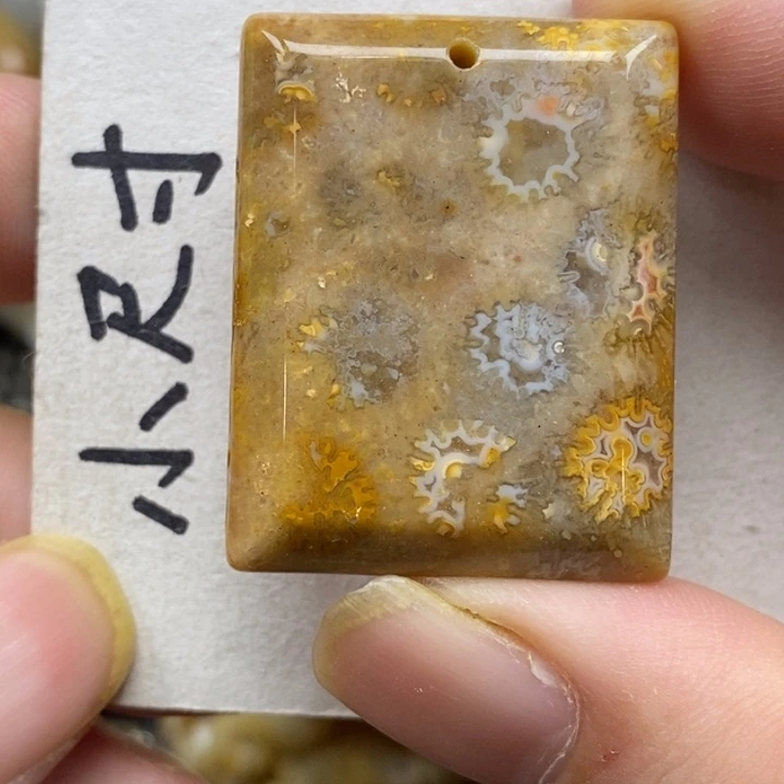 硅化珊瑚（珊瑚玉）未镶嵌颈饰