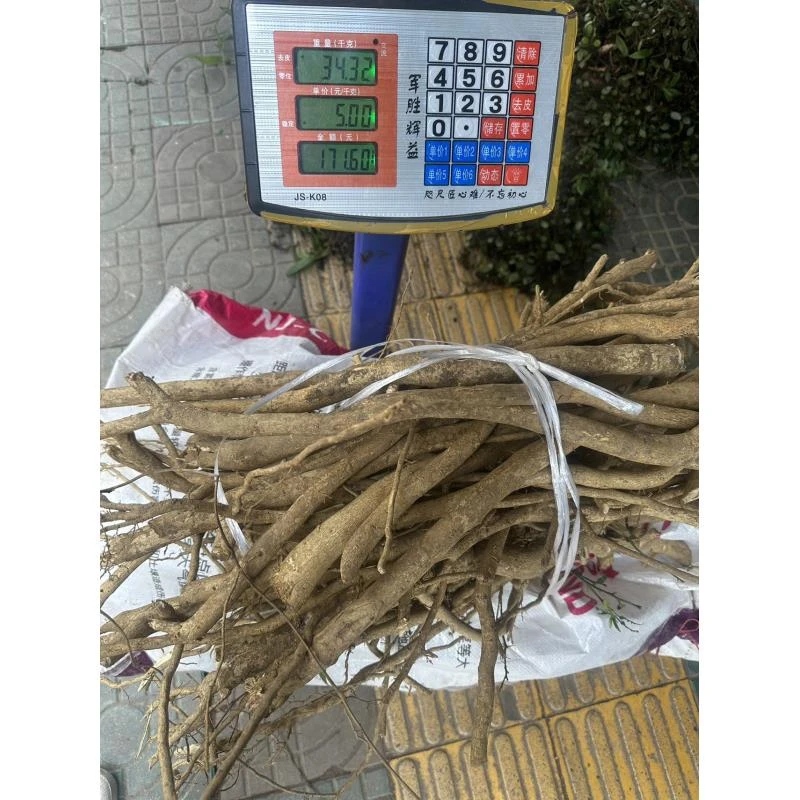 柠檬根 纯野生柠檬根 本地柠檬根部 500克一份包邮 整根如图片发