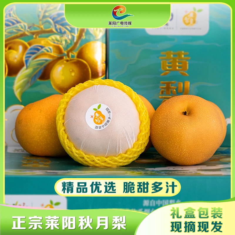 【莱阳味道融媒甄选】莱阳正宗秋月梨礼盒装新鲜当季水果脆甜多汁