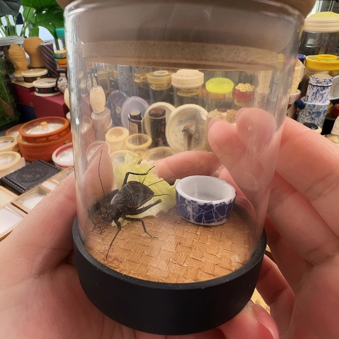 哈哈哈生态罐➕麒麟