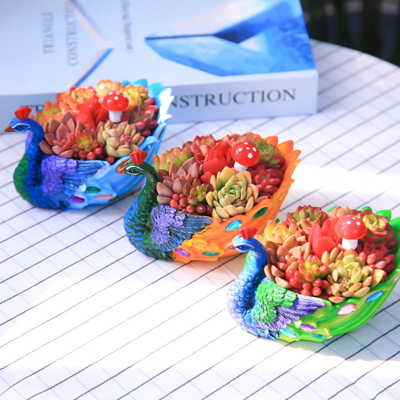 孔雀盆多肉植物套餐新手套餐带盆带土种好发货精致套餐桌面盆栽