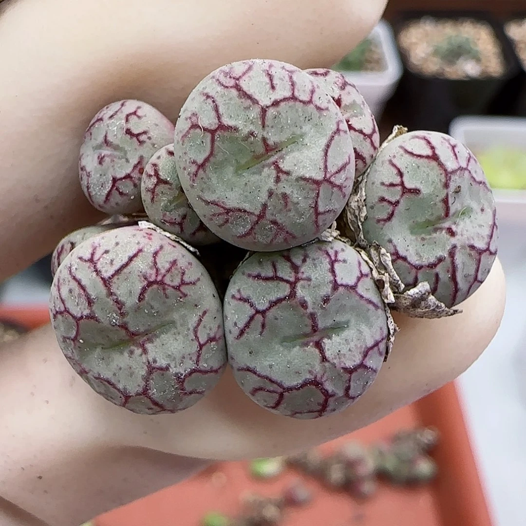 327福利福利福利