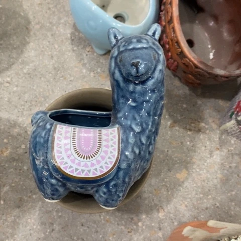 小羊驼313131313131131