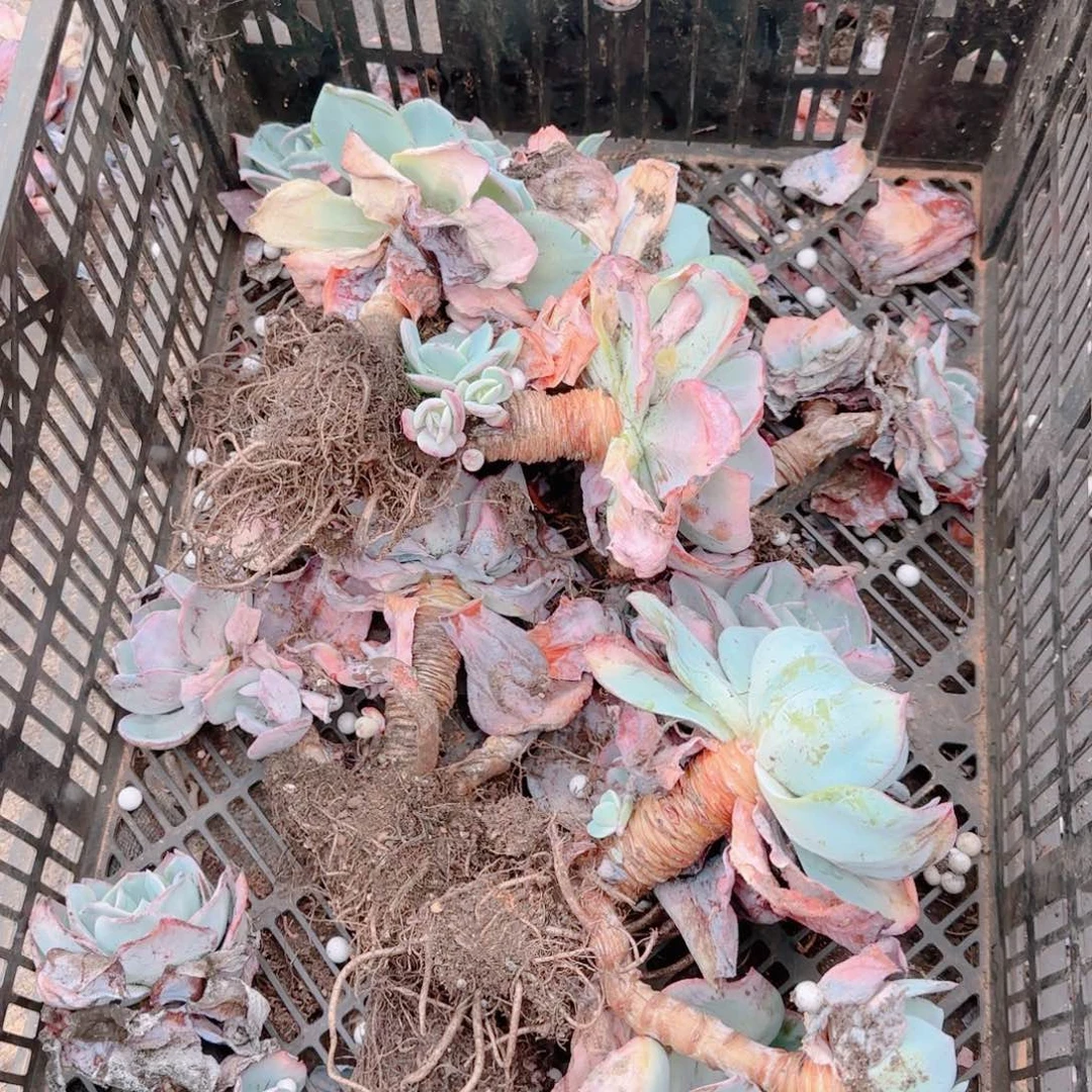 这个时候才知道有多么不开心