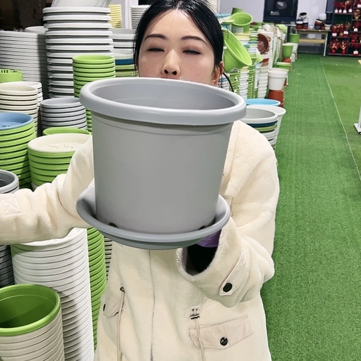 特价3号四季口21高18灰色10只带托