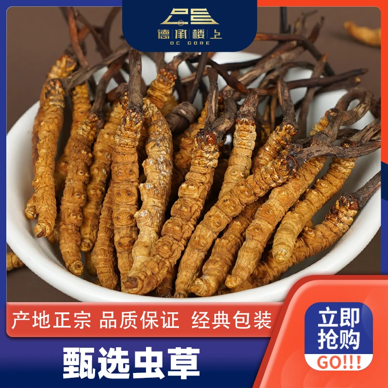 【德承楼上】冬虫夏草 虫草1300条规格F