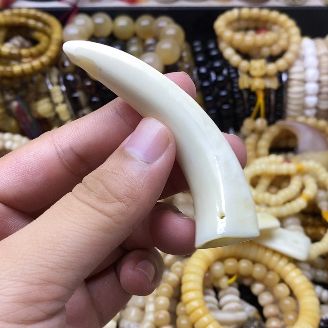 周***月牛骨手串/手链精美人工养殖猪牙