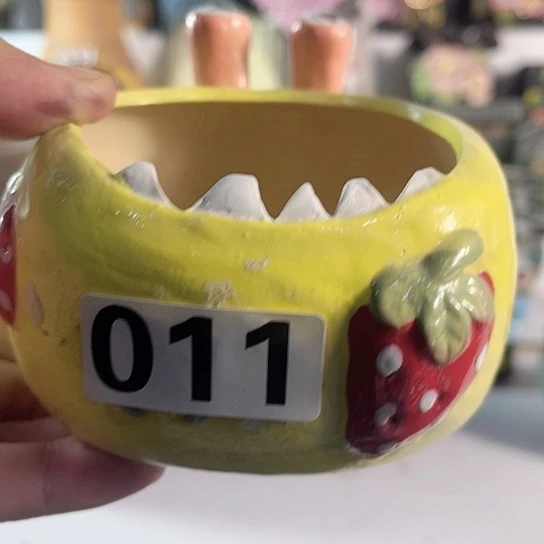 红陶多肉植物花盆