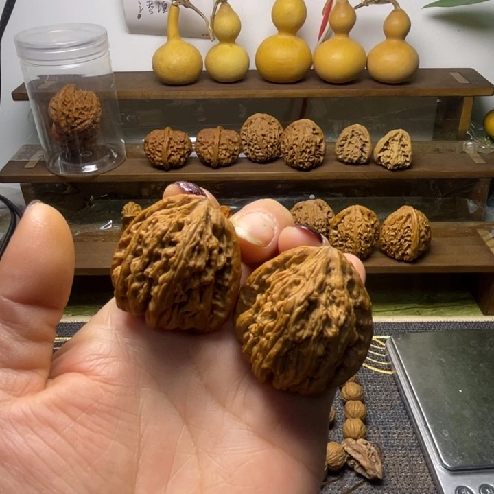 核桃蜜纹全品38.41.52