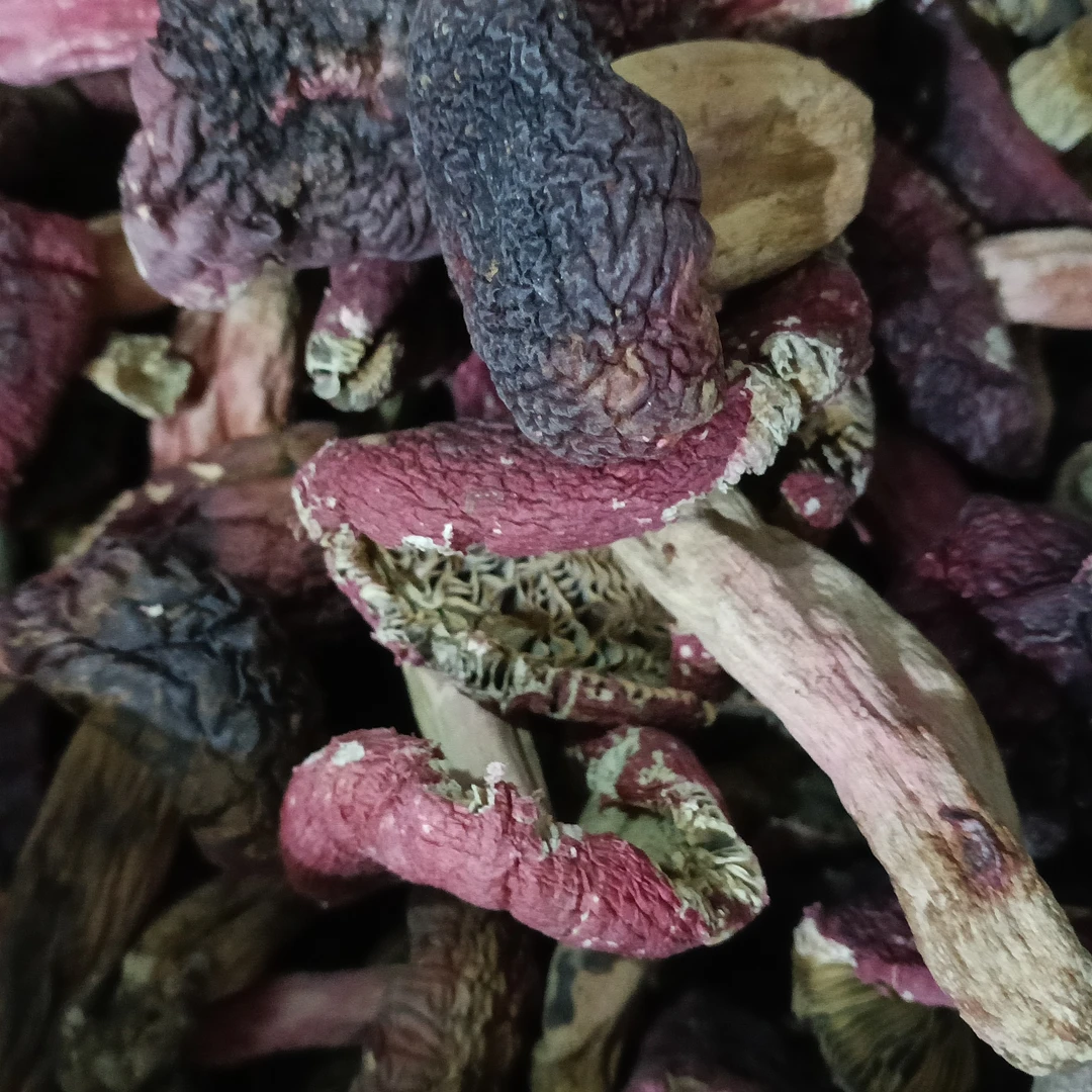 小雅云腾山货【大红菇】特产推荐