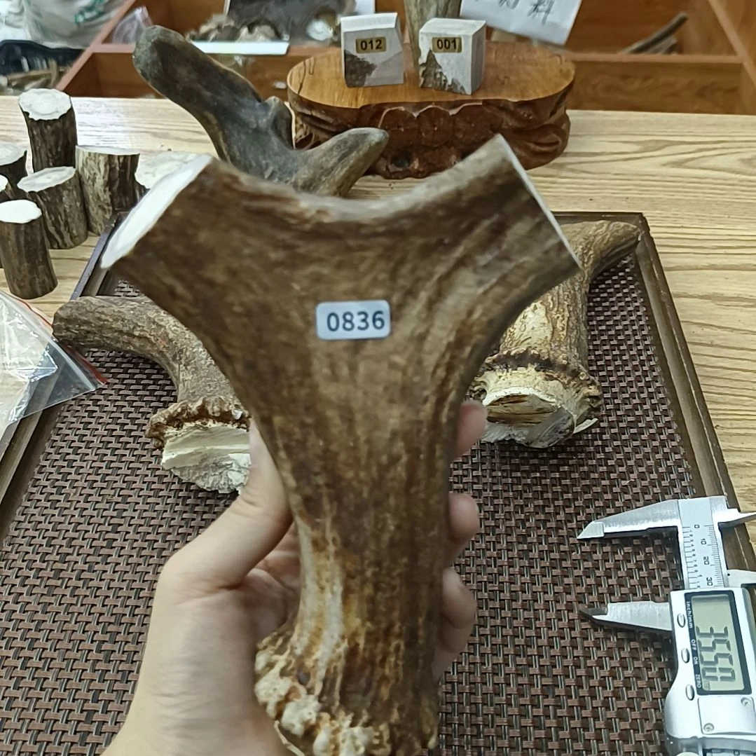 鹿骨其他0836弹弓18*12.9*4.2cm
