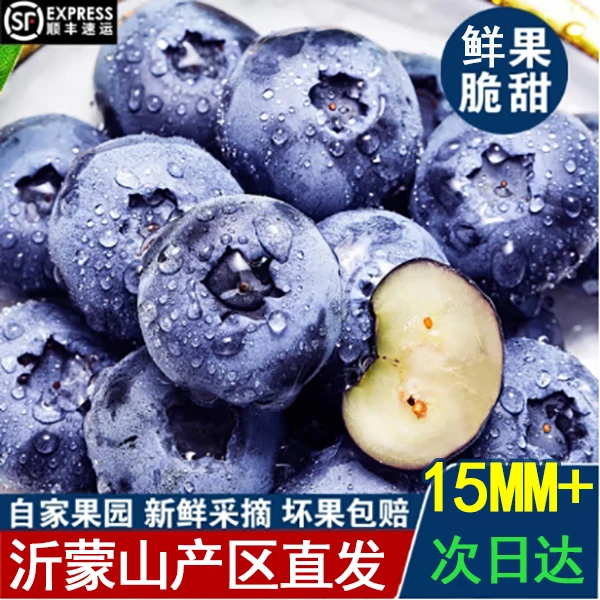 02蓝莓大果15-18mm花香脆甜口口爆浆新鲜采摘顺丰包邮100G每盒山东山东省