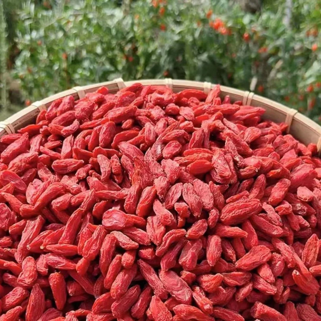 新货农家自然晾晒红枸杞无熏染可泡茶泡酒的干果