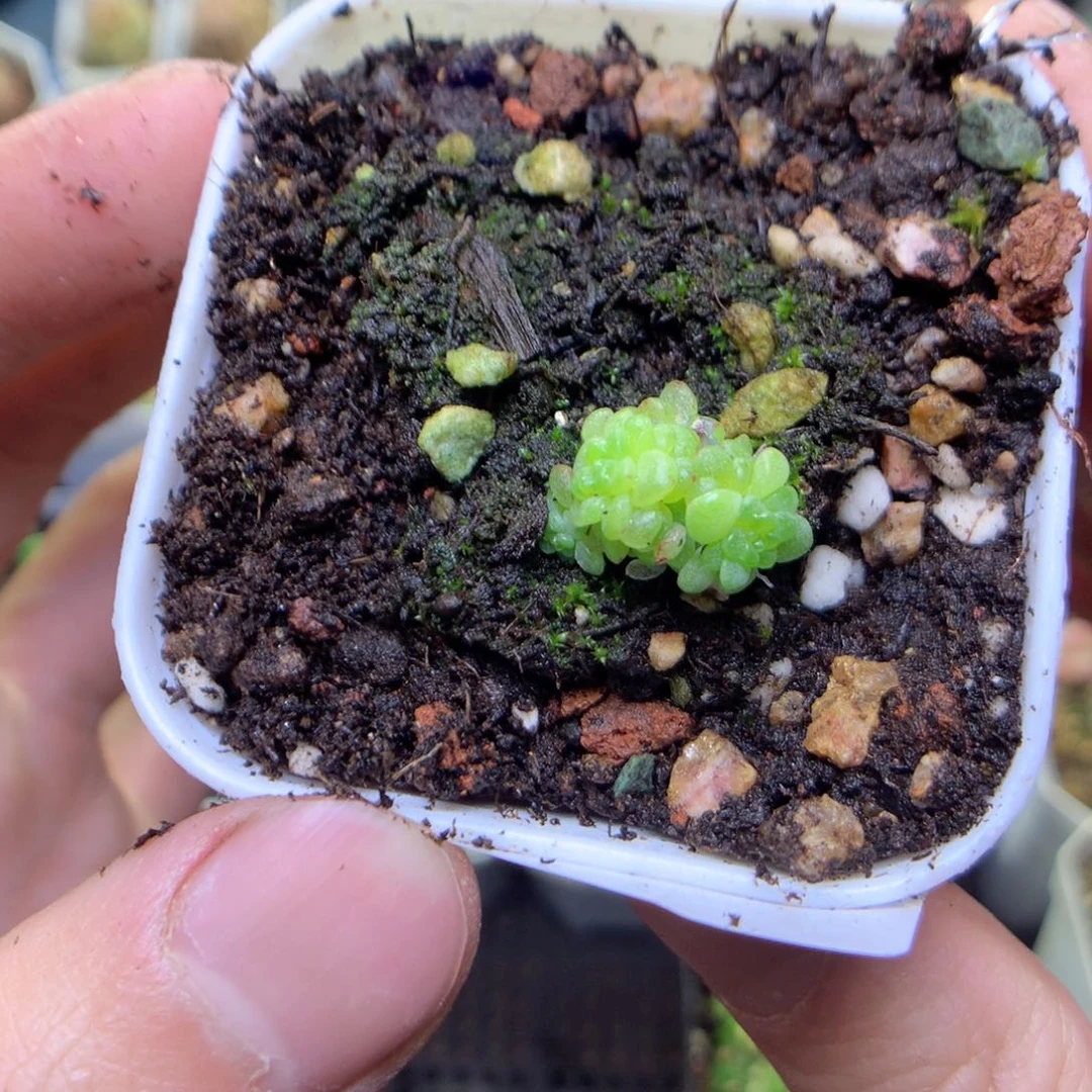 F89y yy y y y y y y y y