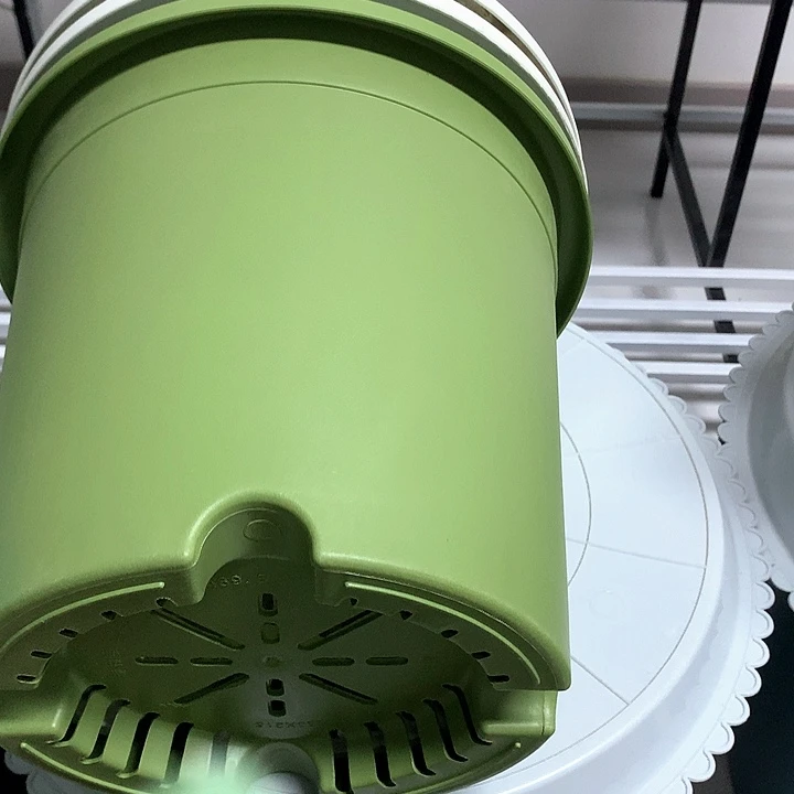 25口果绿无托7个伊特