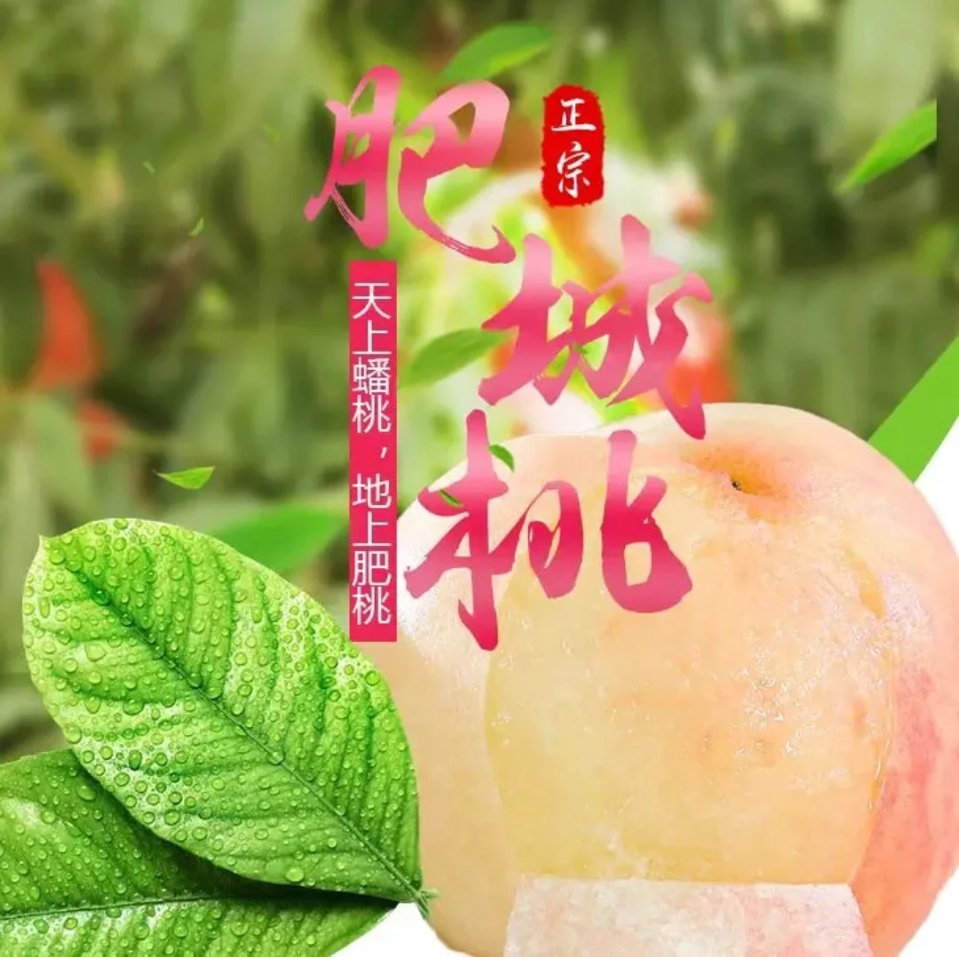 御品肥桃山东肥桃软脆两吃鲜甜多汁应季水果现摘现发千年贡韵