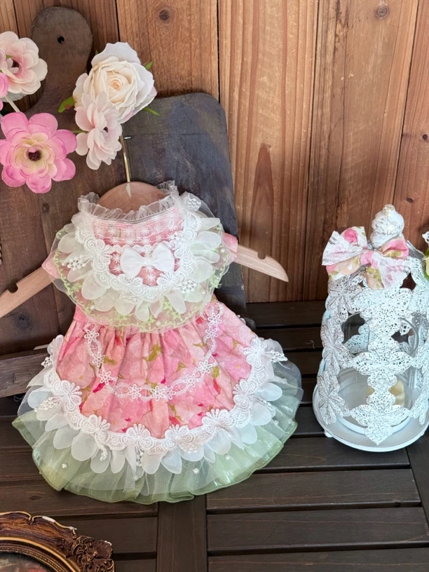 AW仙气飘飘粉玫瑰荷叶绿边边撞色设计比熊吉娃娃猫咪金吉拉银渐层