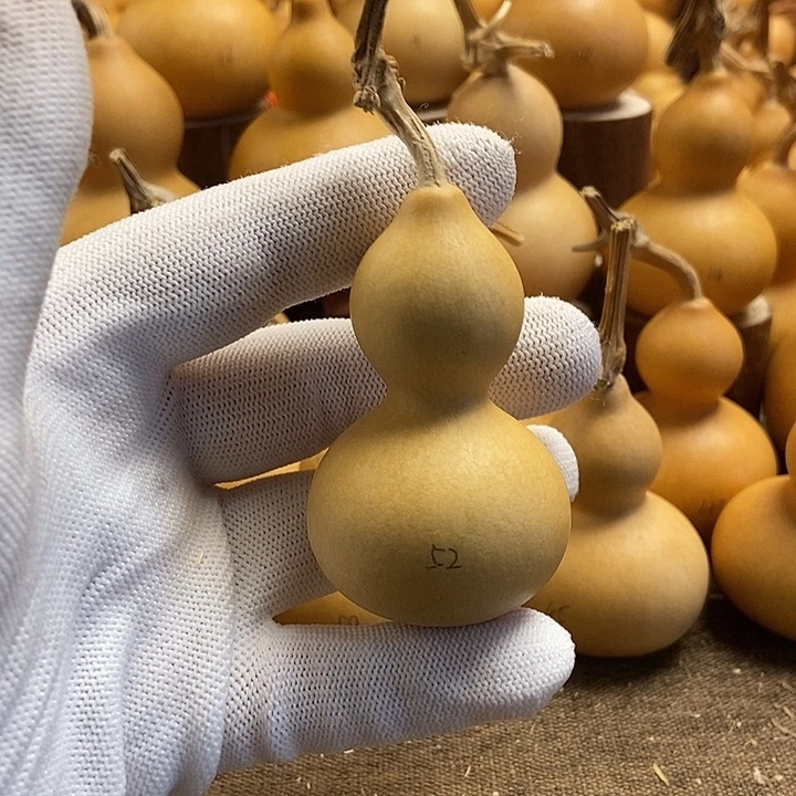 文玩葫芦 完美主义者 慎拍52