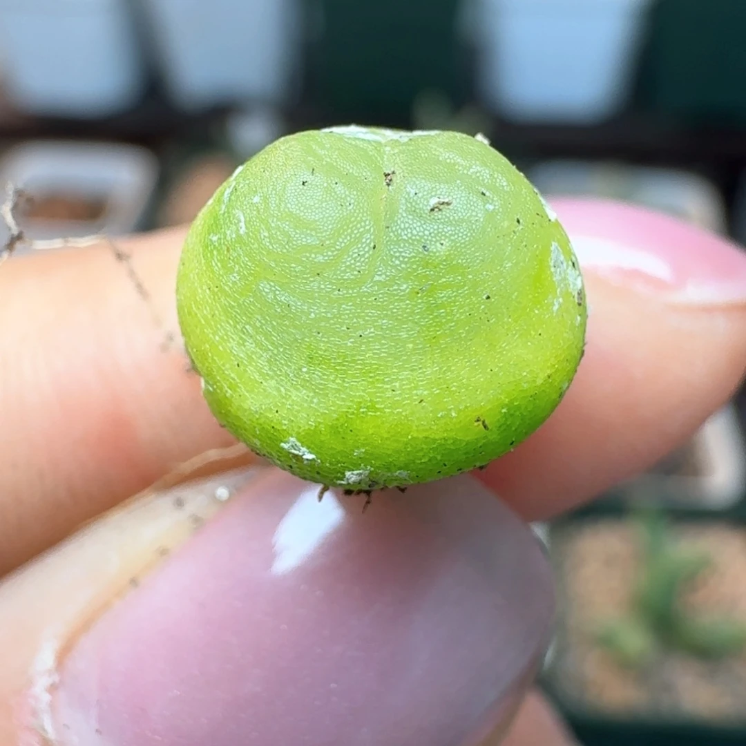 158三年啦啦00000000000