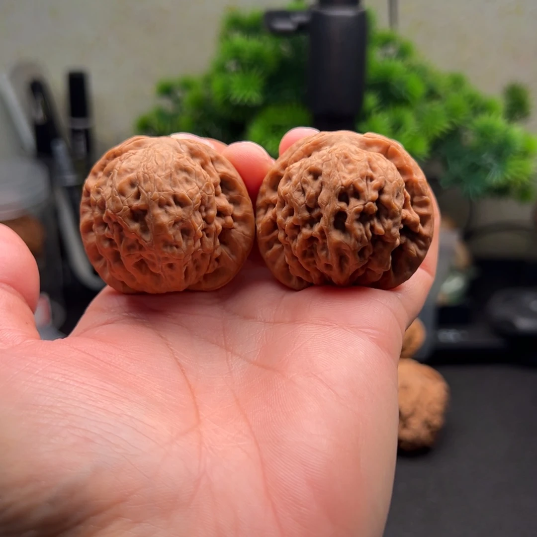 吊坠文玩核桃41金公子