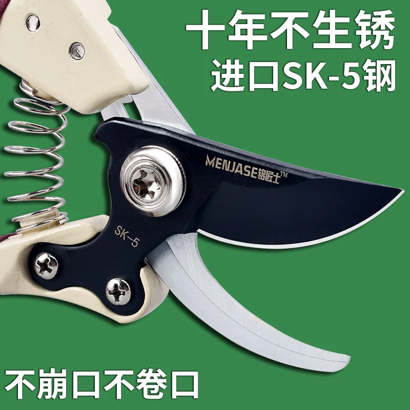 园艺修枝剪德国工艺果树修枝剪园林多功能粗枝剪树枝用的剪花艺