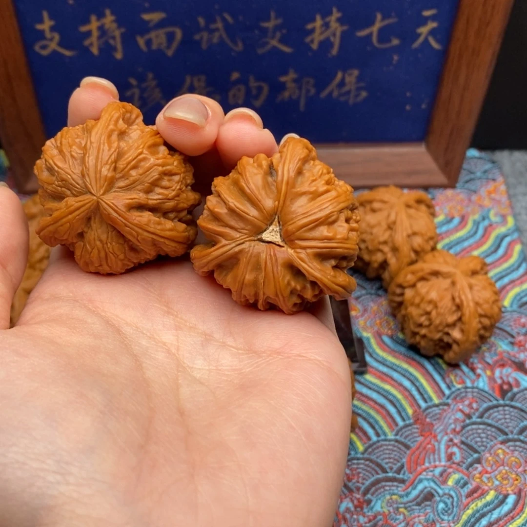 【闪购商品】M*X白狮
