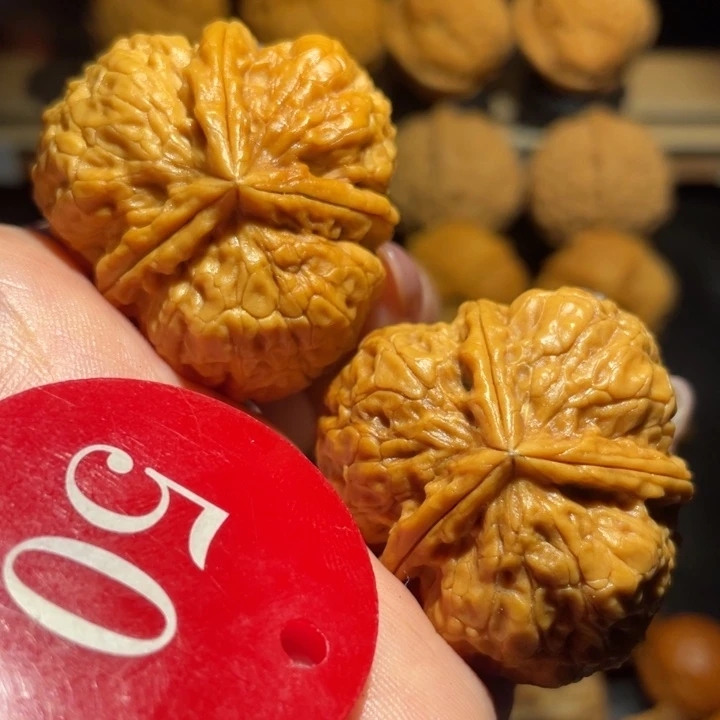金光三棱核桃尺寸38