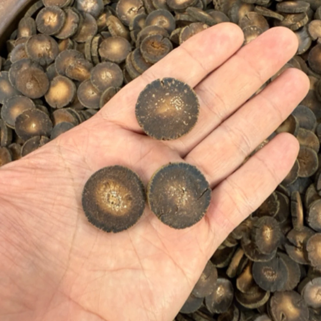 【化州橘红片】2.5压果17年片正金毛 无硫磺手工化橘红切片